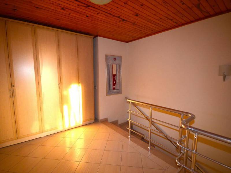 ls81.jpg