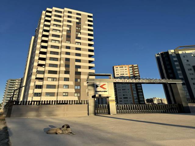 Project in Mersin near the sea!